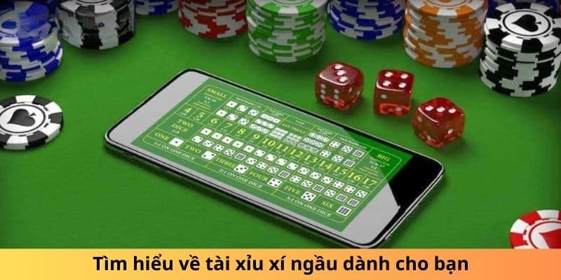 Tìm hiểu về tài xỉu xí ngầu dành cho bạn